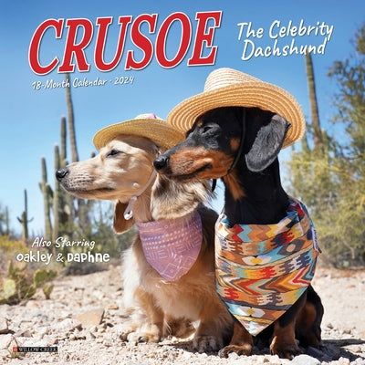 Crusoe the Celebrity Dachshund 2024 7 X 7 Mini Wall Calendar by Ryan Beauchesne