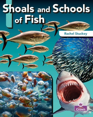 Shoals and Schools of Fish by Stuckey, Rachel