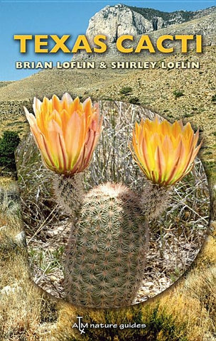 Texas Cacti: A Field Guide Volume 42 by Loflin, Brian