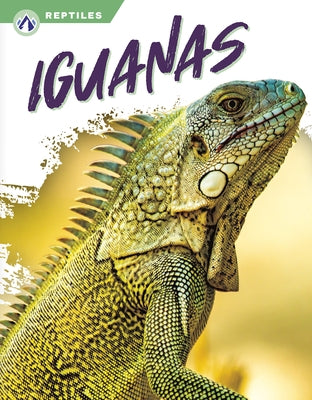 Iguanas by Jade, Shannon