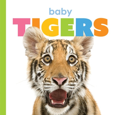 Baby Tigers by Riggs, Kate