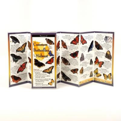 Common Butterflies of the Midwest by Cech, Rick