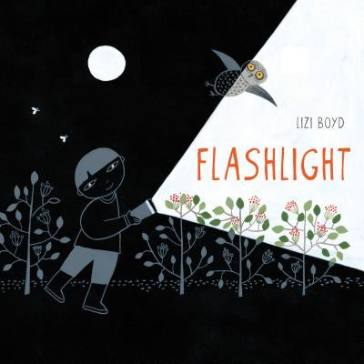 Flashlight: (Picture Books, Wordless Books for Kids, Camping Books for Kids, Bedtime Story Books, Children's Activity Books, Children's Nature Books) by Boyd, Lizi