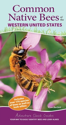 Common Native Bees of the Western United States: Your Way to Easily Identify Bees and Look-Alikes by Bartlett, Ryan