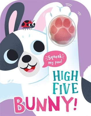 High Five Bunny! a Count-And-Squeak Book by Baines, Robin
