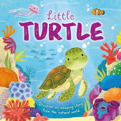 Nature Stories: Little Turtle-Discover an Amazing Story from the Natural World: Padded Board Book by Igloobooks