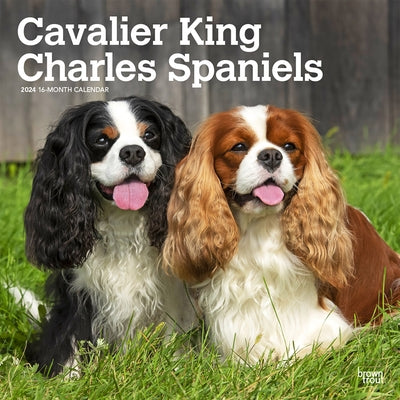 Cavalier King Charles Spaniels 2024 Square by Browntrout