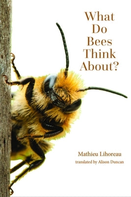 What Do Bees Think About? by Lihoreau, Mathieu