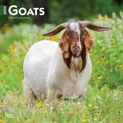 Goats 2024 Square by Browntrout