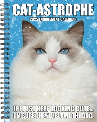 Cat-Astrophe 2025 6.5 X 8.5 Engagement Calendar by Willow Creek Press