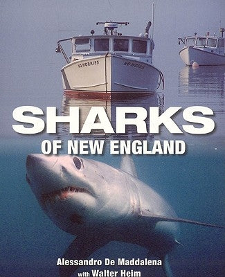 Sharks of New England by Maddalena, Alessandrao De