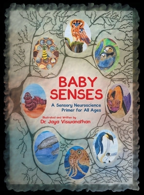 Baby Senses: A Sensory Neuroscience Primer for All Ages by Viswanathan, Jaya