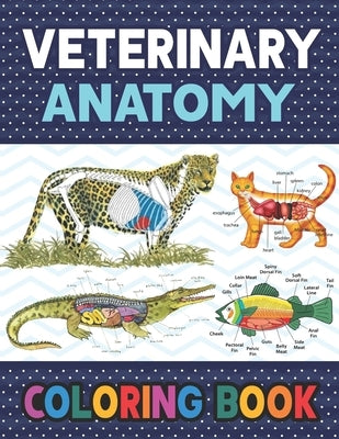 Veterinary Anatomy Coloring Book: Fun and Easy Veterinary Anatomy Coloring Book for Kids. The New Surprising Magnificent Learning Structure For Veteri by Publication, Darkeylone