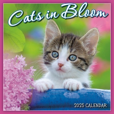 2025 Cats in Bloom Mini Calendar by Sellers Publishing, Inc