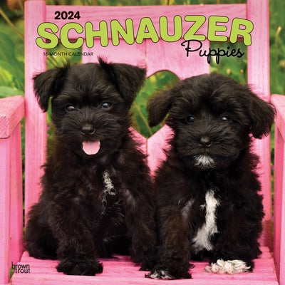 Schnauzer Puppies 2024 Square by Browntrout