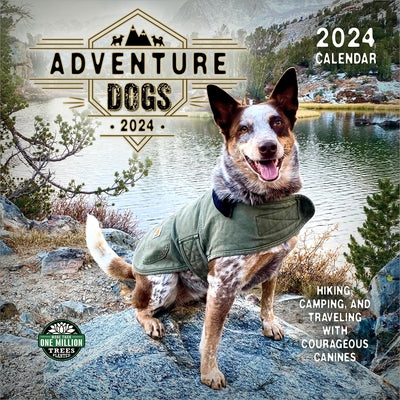 Adventure Dogs 2024 Wall Calendar: Hiking, Camping, and Traveling with Courageous Canines by Amber Lotus Publishing