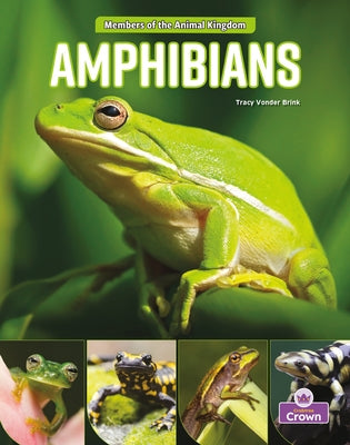 Amphibians by Brink, Tracy Vonder