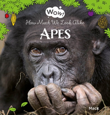 Wow! Apes. How Much We Look Alike by Van Gageldonk, Mack