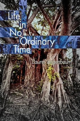 Life in No Ordinary Time by Feigenbaum, Laurel