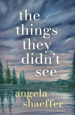 The Things They Didn't See by Shaeffer, Angela