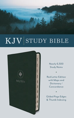 The KJV Study Bible, Indexed (Evergreen Fog) by Compiled by Barbour Staff