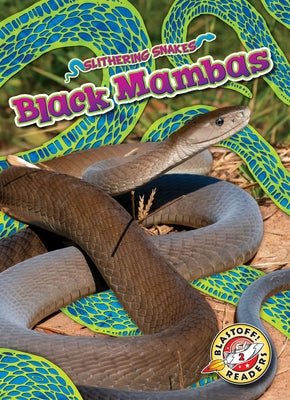 Black Mambas by Mattern, Joanne