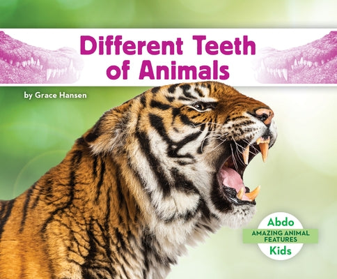 Different Teeth of Animals by Hansen, Grace
