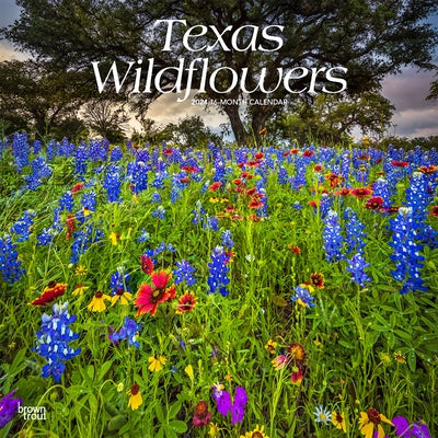 Texas Wildflowers 2024 Square by Browntrout