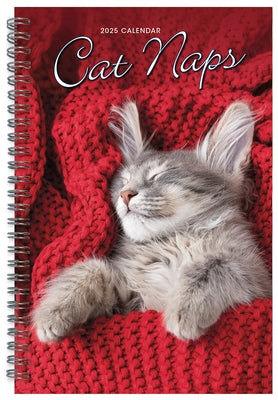 2025 Cat Naps Engagement by Sellers Publishing, Inc