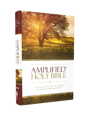 Amplified Bible-Am: Captures the Full Meaning Behind the Original Greek and Hebrew by Zondervan