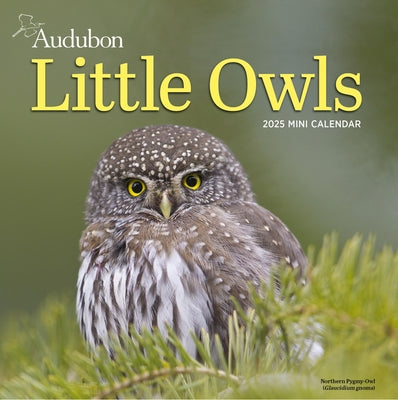 Audubon Little Owls Mini Wall Calendar 2025: A Year of Fluffy and Round Owls by National Audubon Society