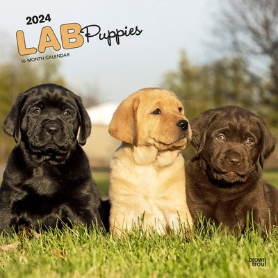 Labrador Retriever Puppies 2024 Square by Browntrout