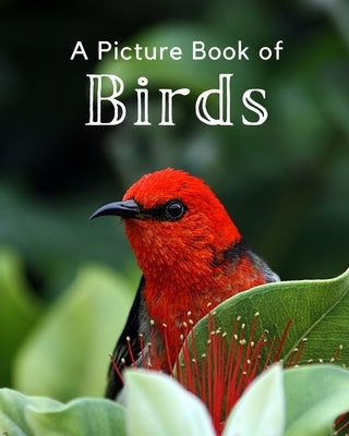 A Picture Book of Birds: A Beautiful Picture Book for Seniors With Alzheimer's or Dementia. A Perfect Gift For Bird Lovers! by A Bee's Life Press