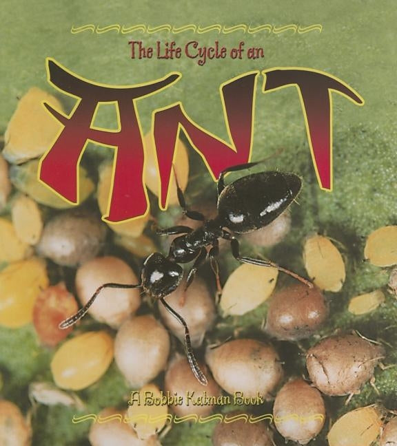 The Life Cycle of an Ant by Dyer, Hadley