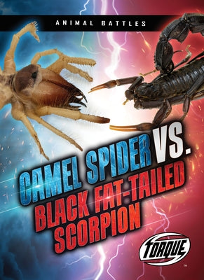 Camel Spider vs. Black Fat-Tailed Scorpion by Sommer, Nathan