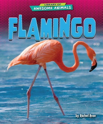 Flamingo by Rose, Rachel