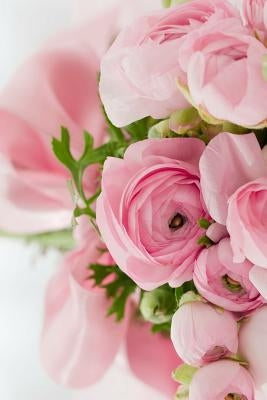 Pink Roses: Light Pink Roses Express Gentleness and Admiration While Dark Pink Roses Show Gratitude. by Journals, Planners and