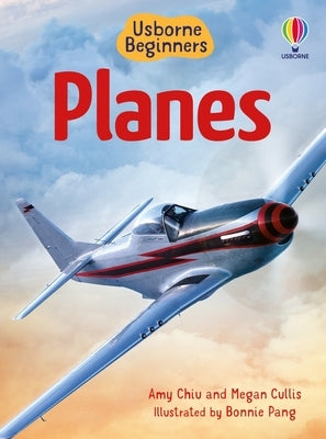 Planes (Usborne Beginners) by Pang, Bonnie