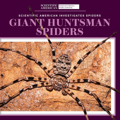 Giant Huntsman Spiders by Aldolpho, Roxanne