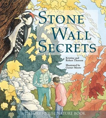 Stone Wall Secrets by Thorson, Kristie