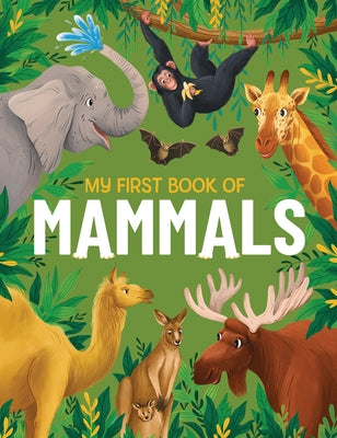 My First Book of Mammals by Konstantynovska, Olga