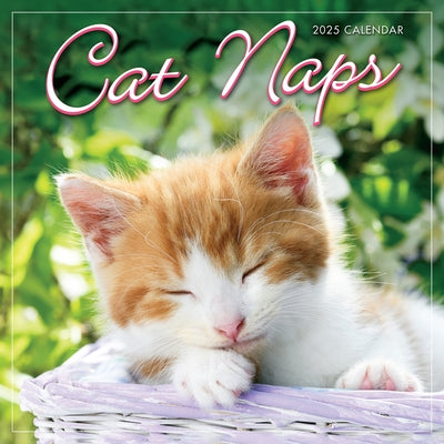 2025 Cat Naps Mini Calendar by Sellers Publishing, Inc