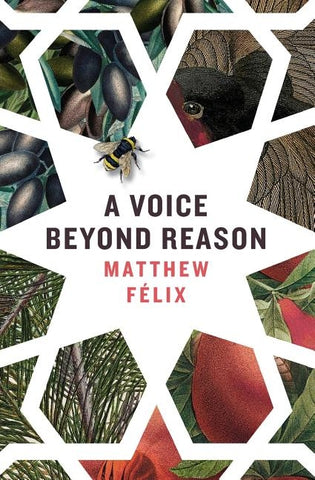 A Voice Beyond Reason by F&#195;&#169;lix, Matthew