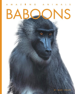 Baboons by Bolte, Mari