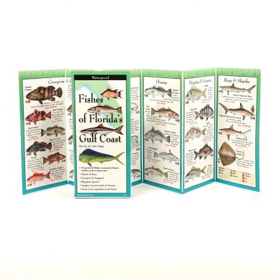 Fishes of the Florida's Gulf Coast by Shipp, Robert