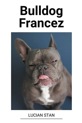 Bulldog Francez by Stan, Lucian