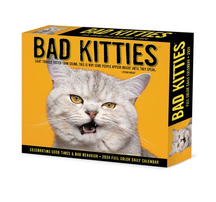 Bad Kitties 2024 6.2 X 5.4 Box Calendar by Willow Creek Press
