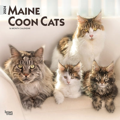 Maine Coon Cats 2024 Square by Browntrout