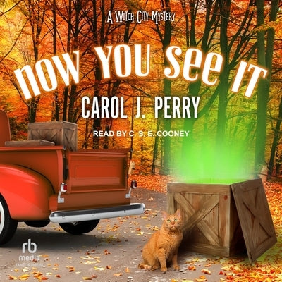 Now You See It by Perry, Carol J.