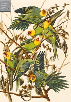 Carolina Parakeets 1000 Piece Jigsaw Puzzle: A Fitzwilliam Museum Publication by Audubon, John James